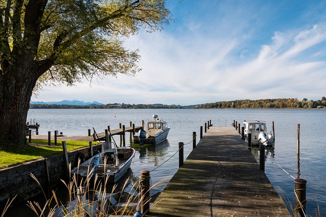 竞技状态 竞技状态