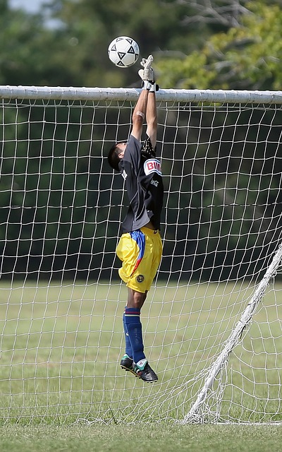 将单一技能 将单一技能