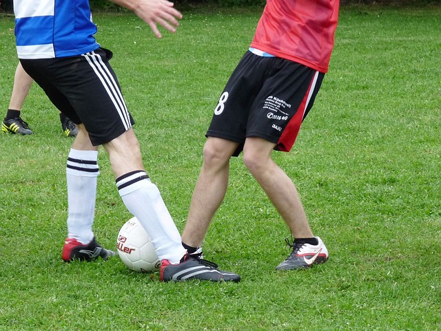 莱格里在这 莱格里在这