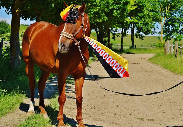 世界羽联最新世界排名 ｜ 真龙徐承宰连跳25级 大马男双主力排名不变.