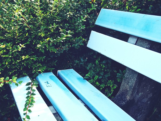 2024年中國籃球公開賽洋河夢之藍西安賽區嘉祥教育奪冠預選賽.